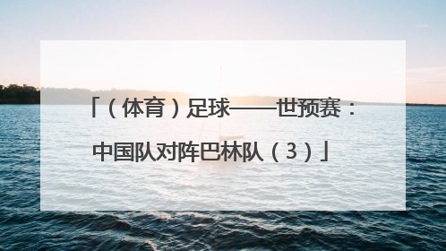 （体育）足球——世预赛：中国队对阵巴林队（3）