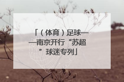 （体育）足球——南京开行“苏超”球迷专列