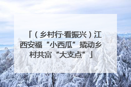 （乡村行·看振兴）江西安福“小西瓜”撬动乡村共富“大支点”