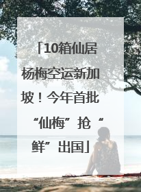 10箱仙居杨梅空运新加坡！今年首批“仙梅”抢“鲜”出国