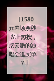 1580元内场票秒光上热搜，岳云鹏的演唱会谁买单？