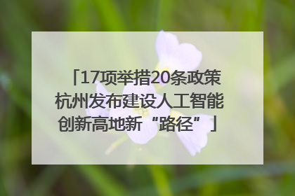 17项举措20条政策 杭州发布建设人工智能创新高地新“路径”