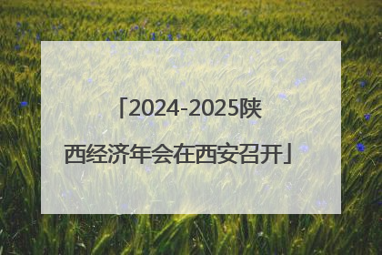 2024-2025陕西经济年会在西安召开