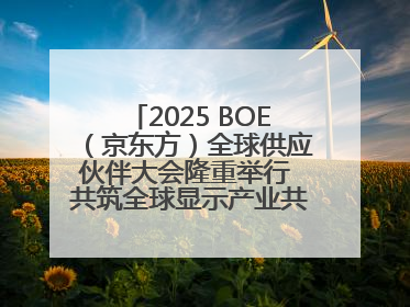 2025 BOE（京东方）全球供应伙伴大会隆重举行 共筑全球显示产业共生共赢新格局
