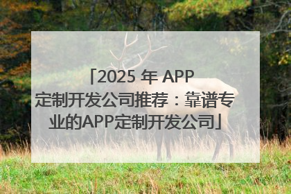 2025 年 APP 定制开发公司推荐：靠谱专业的APP定制开发公司