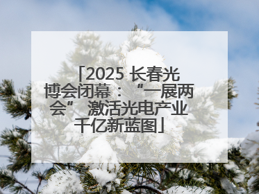 2025 长春光博会闭幕：“一展两会” 激活光电产业千亿新蓝图