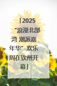 2025“浪漫北部湾 潮派嘉年华”欢乐周在钦州开幕