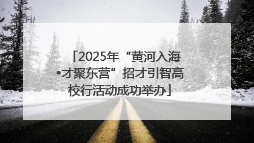 2025年“黄河入海•才聚东营”招才引智高校行活动成功举办