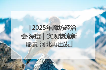 2025年廊坊经洽会·深度｜实现物流新愿景 河北再出发