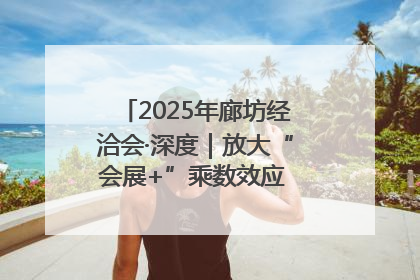 2025年廊坊经洽会·深度｜放大“会展+”乘数效应 打造消费新场景