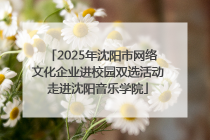 2025年沈阳市网络文化企业进校园双选活动走进沈阳音乐学院