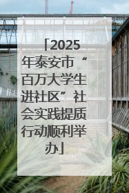 2025年泰安市“百万大学生进社区”社会实践提质行动顺利举办