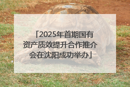 2025年首期国有资产质效提升合作推介会在沈阳成功举办