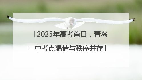 2025年高考首日，青岛一中考点温情与秩序并存