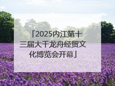 2025内江第十三届大千龙舟经贸文化博览会开幕