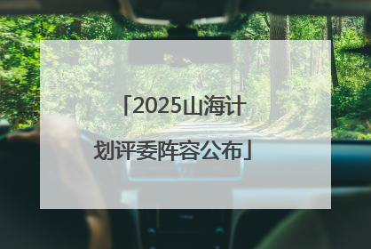 2025山海计划评委阵容公布