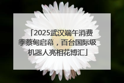 2025武汉端午消费季蔡甸启幕，百台国际级机器人亮相花博汇