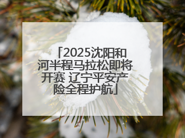 2025沈阳和河半程马拉松即将开赛 辽宁平安产险全程护航