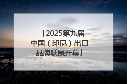 2025第九届中国（印尼）出口品牌联展开幕