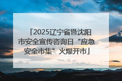 2025辽宁省暨沈阳市安全宣传咨询日“应急安全市集”火爆开市