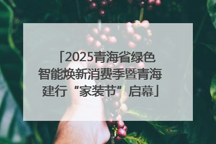 2025青海省绿色智能焕新消费季暨青海建行“家装节”启幕