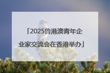 2025鲁港澳青年企业家交流会在香港举办