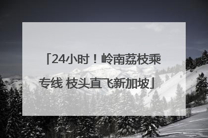 24小时！岭南荔枝乘专线 枝头直飞新加坡