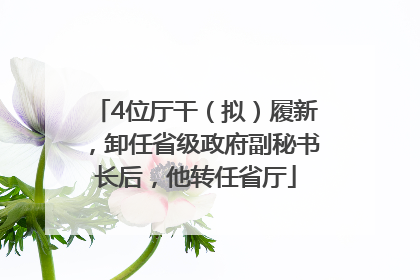 4位厅干（拟）履新，卸任省级政府副秘书长后，他转任省厅