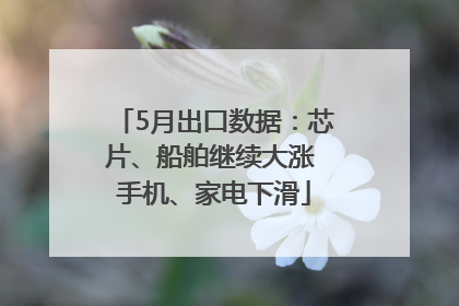 5月出口数据：芯片、船舶继续大涨 手机、家电下滑
