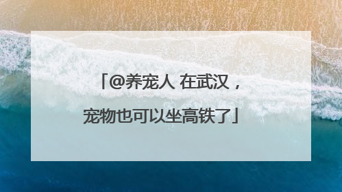 @养宠人 在武汉，宠物也可以坐高铁了