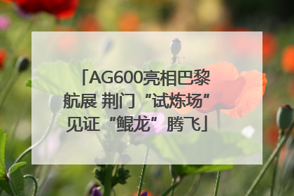 AG600亮相巴黎航展 荆门“试炼场”见证“鲲龙”腾飞