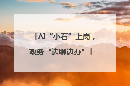 AI“小石”上岗，政务“边聊边办”
