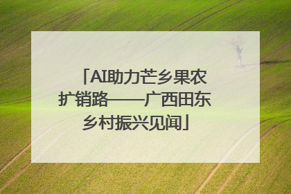 AI助力芒乡果农扩销路——广西田东乡村振兴见闻