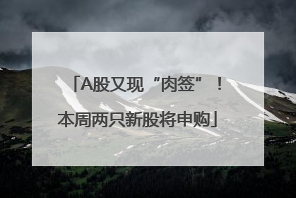 A股又现“肉签”！本周两只新股将申购