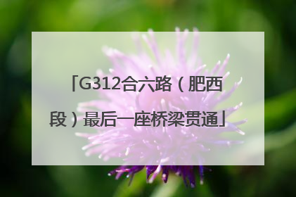 G312合六路（肥西段）最后一座桥梁贯通
